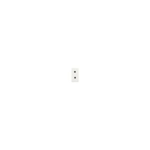 Base enchufe bipolar 10A blanco alpino 2103 BA
